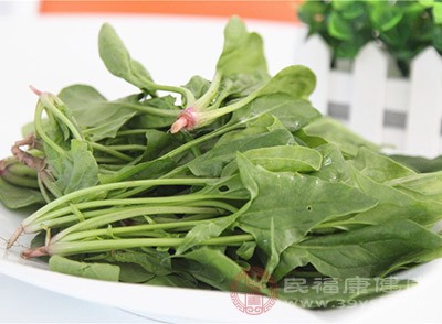 菠菜能够促进胃部以及胰腺的分泌物质的分泌