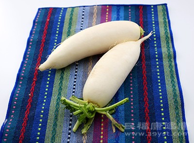 白萝卜中含有的膳食纤维能够分解脂肪