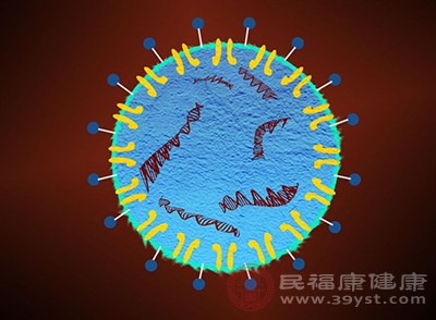 拉贾斯坦邦是此次甲型H1N1流感疫情的重灾区 拉贾斯坦邦是此次甲型H1N1流感疫情的重灾区