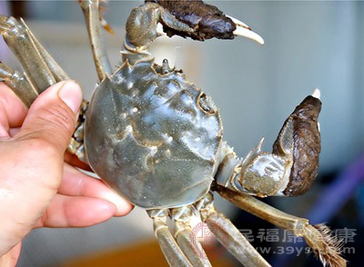 吃螃蟹的禁忌 螃蟹吃不对竟有这危害