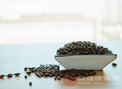 大麥茶可以幫助我們消化