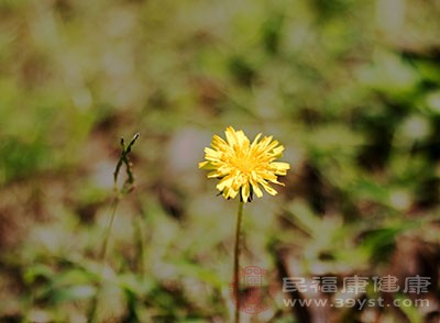 夏至日，妇女们即互相赠送折扇、脂粉等什物