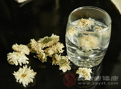 菊花茶是一种凉性的饮品