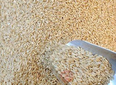 薏米是公认的祛湿食物