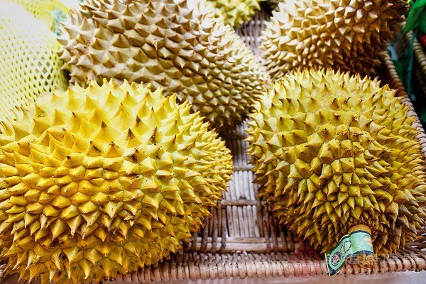 榴莲虽然营养价值高，但是含有的脂肪物质较多热量也偏高