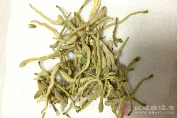 取适量金银花和菊花放在茶杯里，加入开水冲泡，等到温度冷却一会后直接喝下