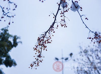 小雪节气的到来，对于农业为直观的是菜园