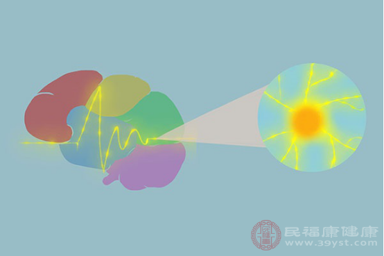 神经结构较为复杂，临床上将其分为两大系统类别