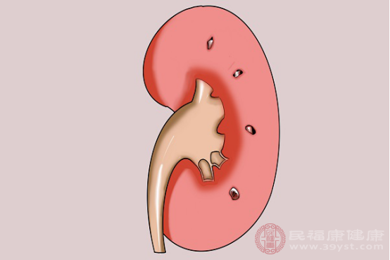 腎功能是否正常的指標是肌酐的數(shù)值，它的正常值在44～133μmol/L