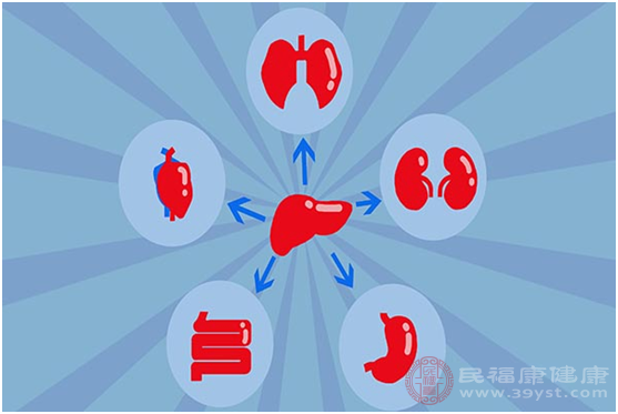 从生理解剖结构上来看，肝脏所处的位置在胆囊的右侧肾脏的前方位置