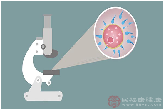 正常情況下我們女性朋友月經(jīng)期都是會有一顆卵子排出