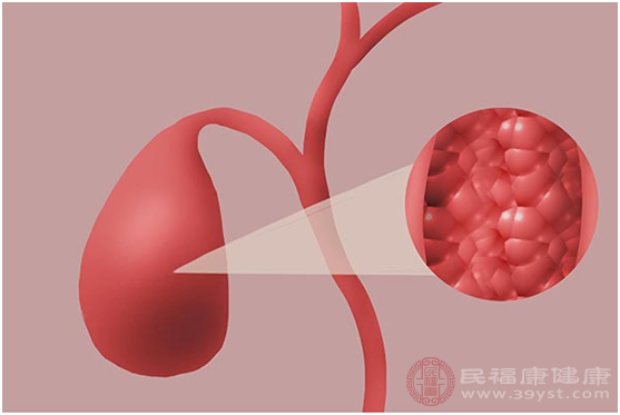 膽囊是比較重要的臟器組織