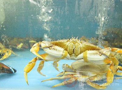 螃蟹中含有大量的蛋白质并且多半以优质蛋白为主