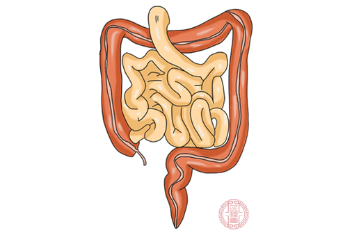 慢性结肠炎是一种很常见的消化道疾病