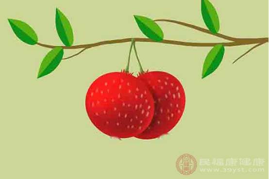 認(rèn)為山楂具有健脾養(yǎng)胃的作用