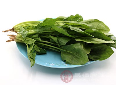 菠菜也是常見(jiàn)的一種蔬菜