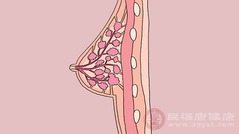 哺乳可以幫助媽媽體型的恢復(fù)