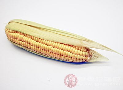 所以吃玉米能减少其他食物的摄入，从而减少能量的摄入