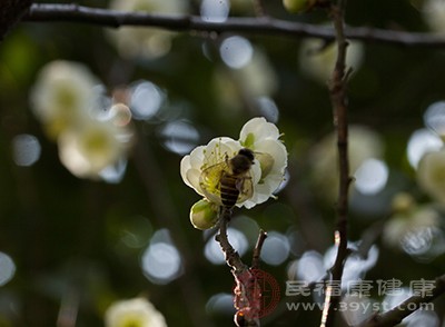 夏至是二十四节气里早被确定下来的节气