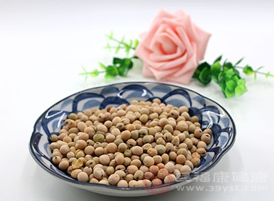 大豆富含蛋白质并有助于消化