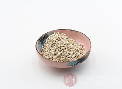 薏米含有多种维生素和微量元素