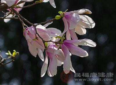 大暑氣溫升高，祝福豈能減少