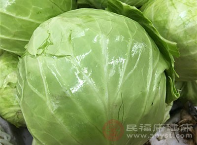 包菜作为颜色比特殊的一种食物