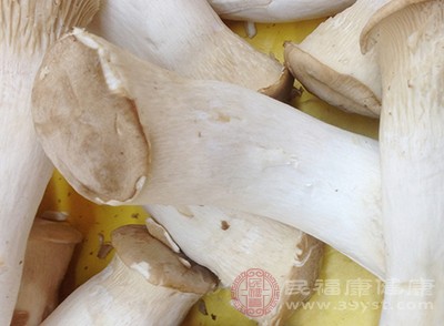 杏鲍菇富含粗纤维，钾，钙，磷等营养素