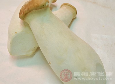 杏鮑菇的營(yíng)養(yǎng)物質(zhì)豐富