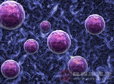 幽门螺杆菌感染也有可能是诱发胃癌的原因之一