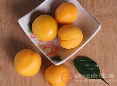 杏子中含有非常丰富的营养物质