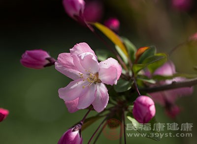 芒种在农历上的日期并不固定