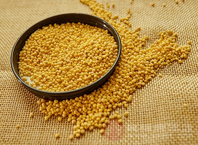 小米在所有谷物中含色氨酸为丰富
