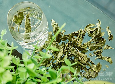 薄荷茶一般是由绿薄荷、绿茶制作而成