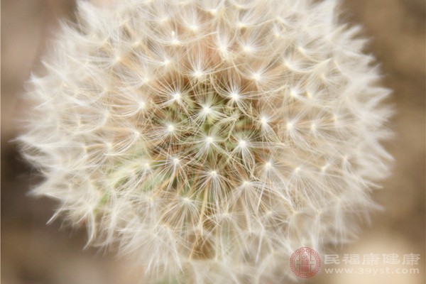 生活中无处不存在着植物