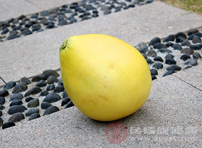 柚子中含有果酸，适量食用能刺激胃酸的分泌