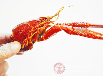 虾头中含有重金属，尤其是小龙虾