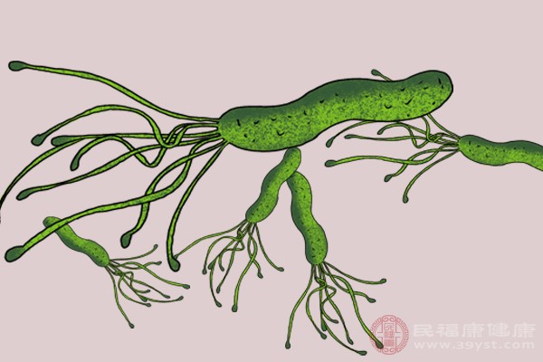 幽門螺旋桿菌的檢查方式是胃鏡檢查、C13，C14呼氣檢查、糞便檢查、抽血檢查