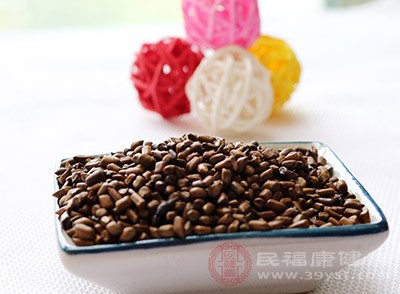 直接用决明子来泡茶比较方便