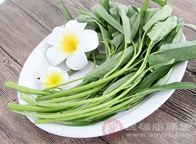 綠葉蔬菜中的菠菜、芥菜、油菜等也是富含鈣的食物