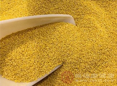小米是一种营养丰富的谷物，它具有很好的滋养作用