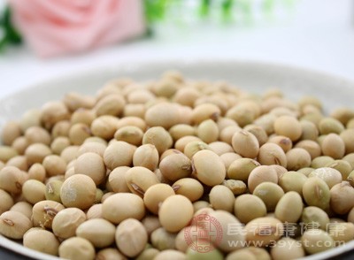 黄豆、红豆、黑豆等豆类食物中也含有大量的益生菌