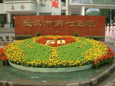 武汉第七医院