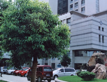 徐州附属连云港市医院