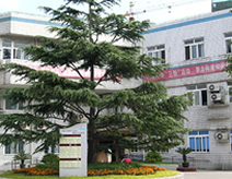 上海市宝山区淞南地段医院