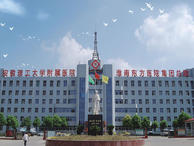 安徽省淮南市东方医院集团总院