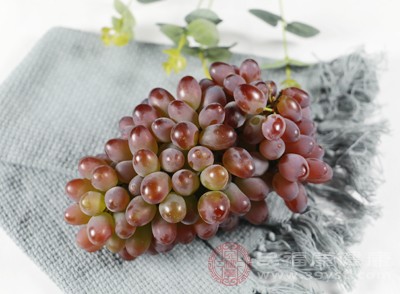 葡萄是另一种有益于抽烟者的水果，含有比较多的单宁酸和维生素E