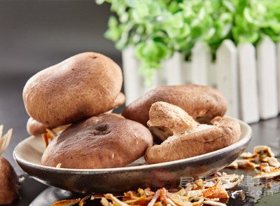 香菇是一种富含多种氨基酸、维生素B族等营养物质的菌类食品