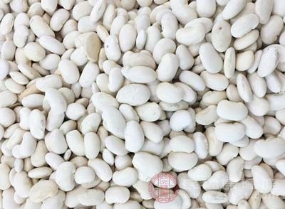 白豆还具有补肺气的作用，可辅助治疗肺虚久咳、气短乏力等症