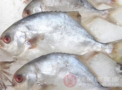 在购买鱼类时，要选择新鲜、安全的来源，避免食用受污染或不良养殖条件下的鱼类